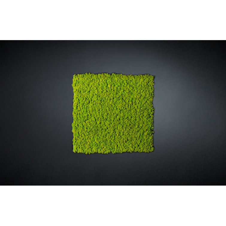 The Seasonal Aisle 100cm Faux Moss Plant Wayfair.co.uk